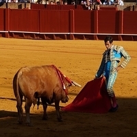 2014.06.22-154.JPG