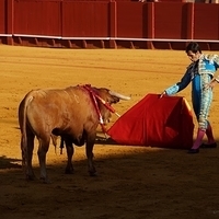 2014.06.22-155.JPG