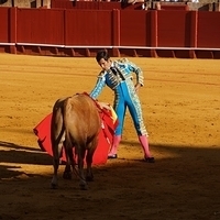 2014.06.22-157.JPG