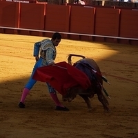 2014.06.22-159.JPG