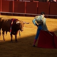 2014.06.22-161.JPG