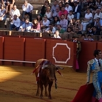 2014.06.22-165.JPG