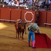 2014.06.22-166.JPG