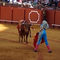 2014.06.22-167.JPG