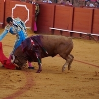 2014.06.22-171.JPG