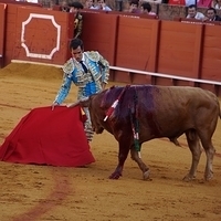 2014.06.22-175.JPG