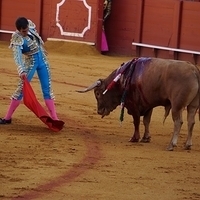 2014.06.22-177.JPG