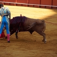 2014.06.22-182.JPG