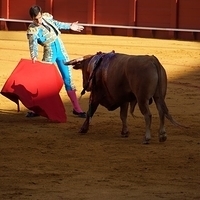 2014.06.22-186.JPG
