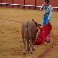2014.06.22-189.JPG