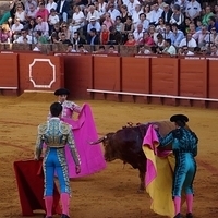 2014.06.22-195.JPG