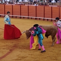 2014.06.22-204.JPG