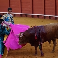 2014.06.22-205.JPG