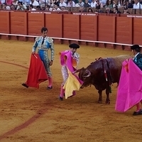 2014.06.22-207.JPG