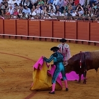 2014.06.22-210.JPG
