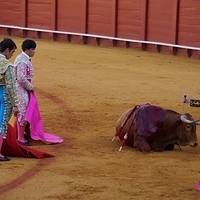 2014.06.22-212.JPG