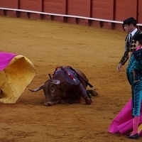 2014.06.22-213.JPG