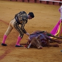 2014.06.22-214.JPG
