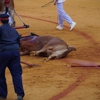 2014.06.22-215.JPG