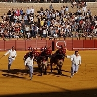 2014.06.22-216.JPG