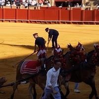 2014.06.22-218.JPG