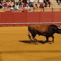 2014.06.22-219.JPG
