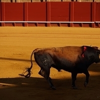 2014.06.22-220.JPG