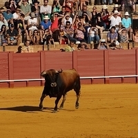 2014.06.22-223.JPG