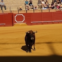 2014.06.22-224.JPG