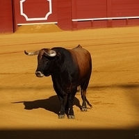 2014.06.22-225.JPG