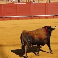 2014.06.22-226.JPG