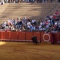 2014.06.22-227.JPG