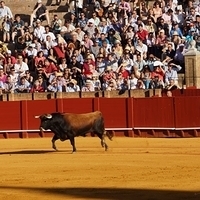 2014.06.22-228.JPG