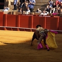 2014.06.22-234.JPG