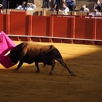 2014.06.22-235.JPG
