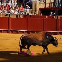 2014.06.22-236.JPG