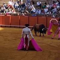 2014.06.22-237.JPG