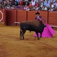 2014.06.22-238.JPG