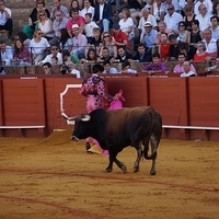 2014.06.22-239.JPG