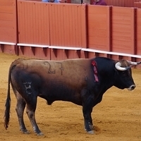 2014.06.22-242.JPG