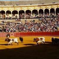 2014.06.22-246.JPG