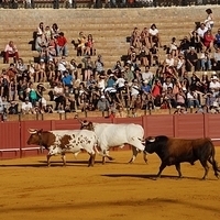 2014.06.22-248.JPG