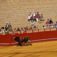 2014.06.22-249.JPG
