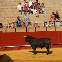 2014.06.22-255.JPG