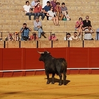 2014.06.22-256.JPG