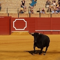 2014.06.22-259.JPG