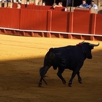 2014.06.22-260.JPG