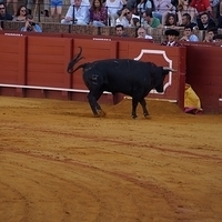 2014.06.22-263.JPG