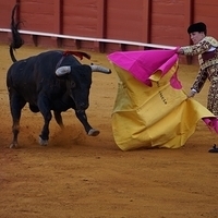 2014.06.22-264.JPG