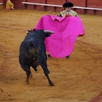 2014.06.22-265.JPG